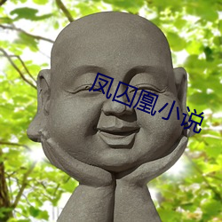 凤囚凰(凰)小(小)说(說)