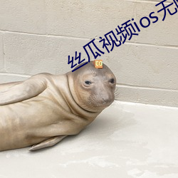 丝瓜视频ios无限看