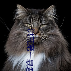 洪荒(huāng)第一(yī)暴(bào)君