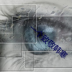 一(y¨©)个致敬韩寒