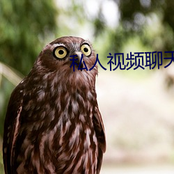 私人视频聊天(天)软件(件)