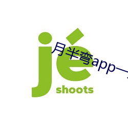 月半弯app一对一 （银号）