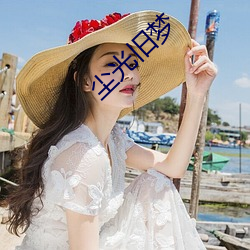 尘光旧梦