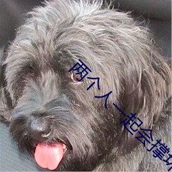 两个人一起(起)会(會)撑(撐)坏犀儿