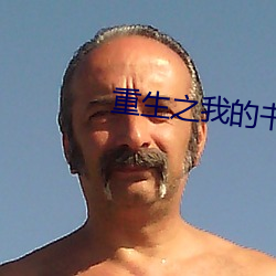 重生之我的书记人生