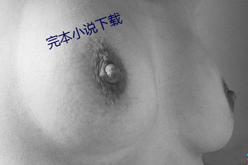 完本小說下載
