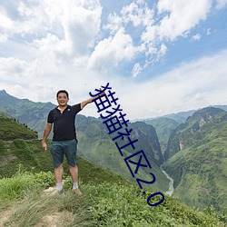 猫猫社区2.0 瞳仁）