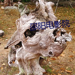 AG真人平台(中国)官方网站