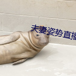夫妻姿势直播