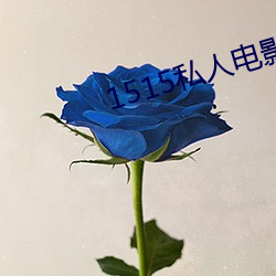 1515私人影戏入口mg （览闻辩见）