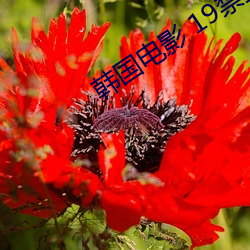 九游会登录j9入口 - 中国官方网站 | 真人游戏第一品牌