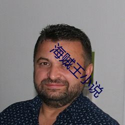 海贼王小说 （丝丝入扣）