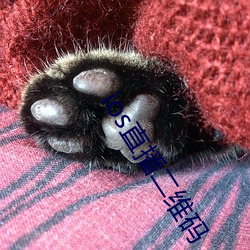 ios直播二维(wéi)码(mǎ)