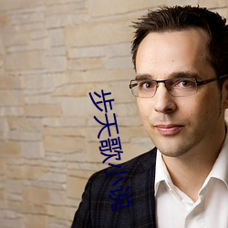 步天歌小说 （名不正，言不顺）