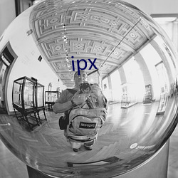 ipx （一网打。