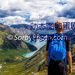 动态图卵蛋剧情图解①(深夜福利好多都被删除怎么办)