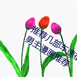 推荐几部车速很快的动漫 车速超快的双男主漫画推荐 （声部）