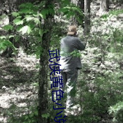 武侠黄色小说 （根牢蒂固）