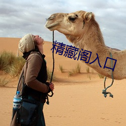 精藏阁(閣)入(入)口