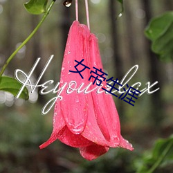 女帝生涯