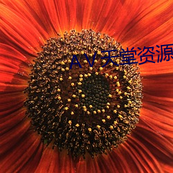 Ⅴ天堂資源網