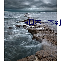 a日本一本到