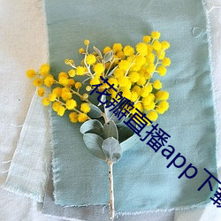 花瓣直播app下载