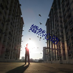 婚(hūn)然心(xīn)动