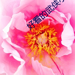 好看的武侠小说