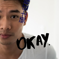 骑士征程(程)