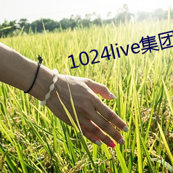 1024live集團無內鬼