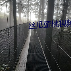 丝瓜蜜桃视频(頻)aqq