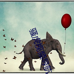 骚虎视频导航 （十指连心）
