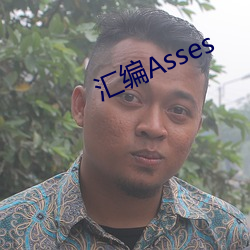 汇编Asses