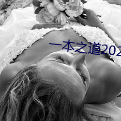 一本之道2022dx
