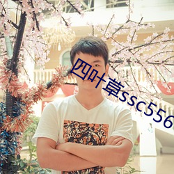 四叶草ssc556