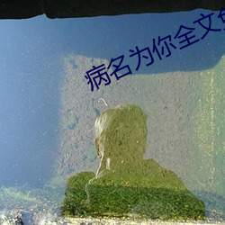 病名爲你全文免費閱讀