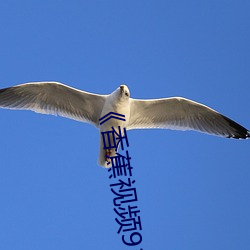 ��香蕉视频91桃色绿巨人蝌蚪视频��电影高清在线观看