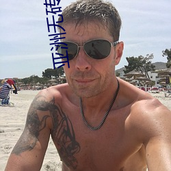 亚洲无砖砖区免费无需下载