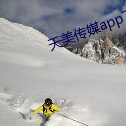 天美传(傳)媒app下载(載)