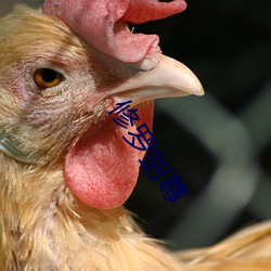 修罗剑尊 ��推谢）