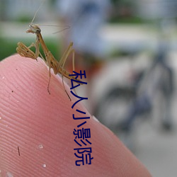 私人小影院