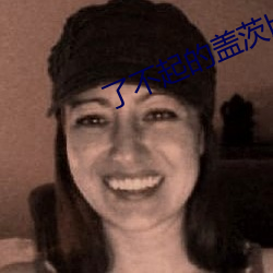 了(了)不(不)起的(的)盖茨比小说