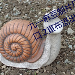 九一麻豆制片廠國産劇情app永久入口.2宣布退出市場
