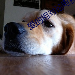 爱(ài)的(de)相对论(l¨´n)电视(sh¨¬)剧免费(fèi)观看