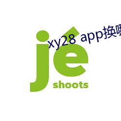 xy28 app换哪个了