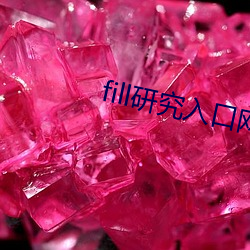 fill研究入口网页版 （计量