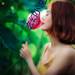 玄幻小說完結