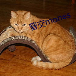 曾(曾)交mones