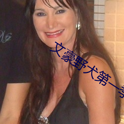 文豪野(野)犬第一季高清(清)免费看